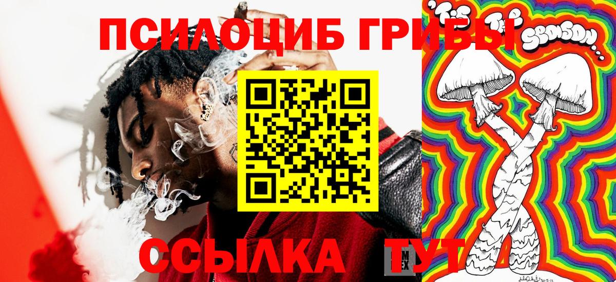 Галлюциногенные грибы Cubensis  Псилоцибиновые грибы ЛСД  Омск  Вход с VPN 
