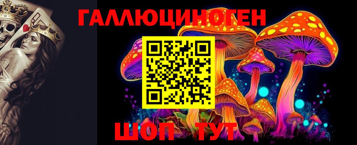 Псилоцибиновые грибы Psilocybine cubensis Омск